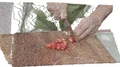 HarmoHOI: Harmonizing Appearance and 3D Motion for Multi-view Hand-Object Interaction Synthesis